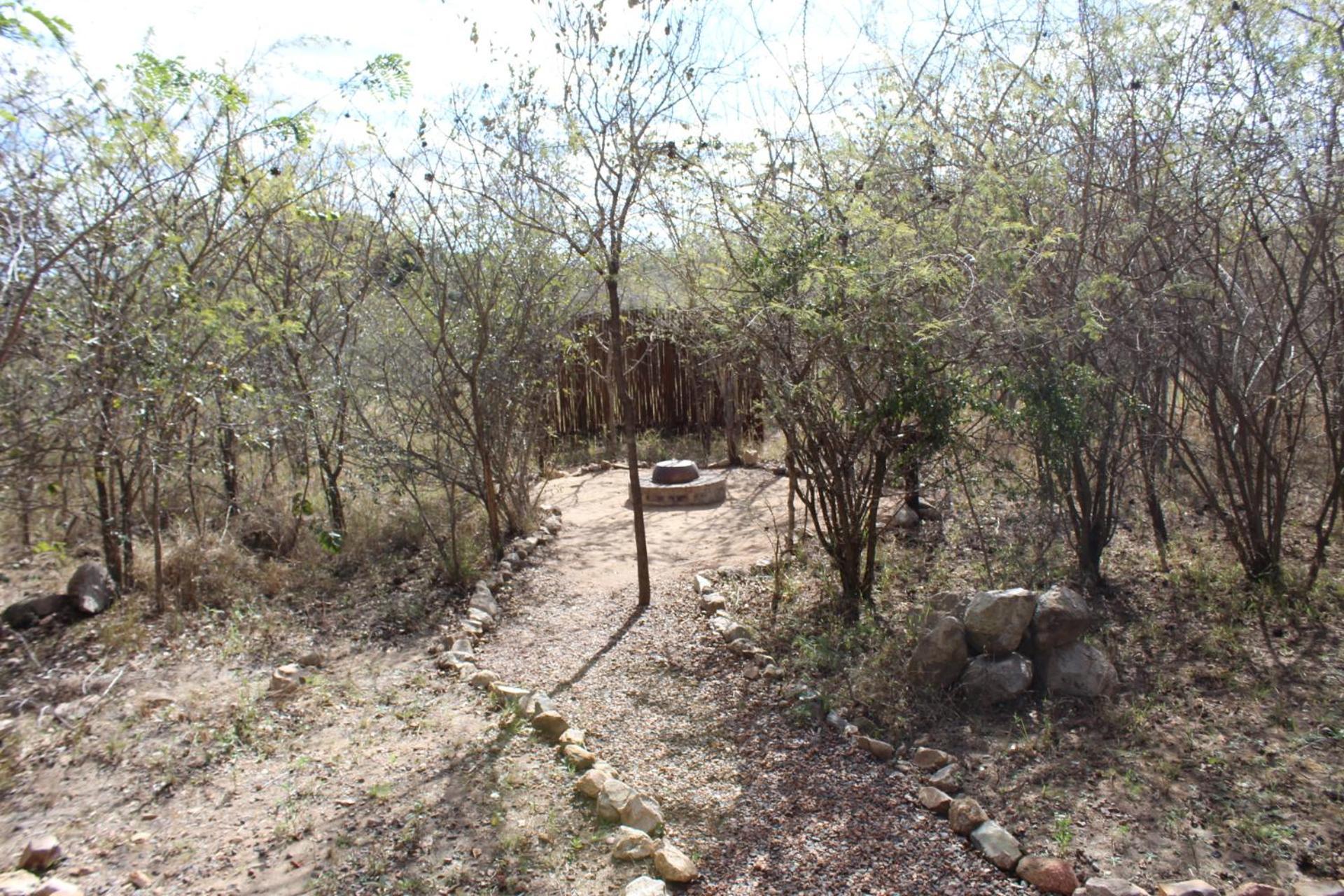Mjejane Bush Camp By Dream Resorts Hectorspruit Kültér fotó