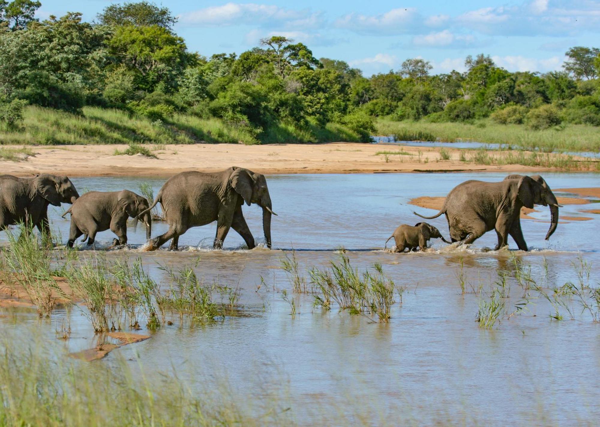 Mjejane Bush Camp By Dream Resorts Hectorspruit Kültér fotó