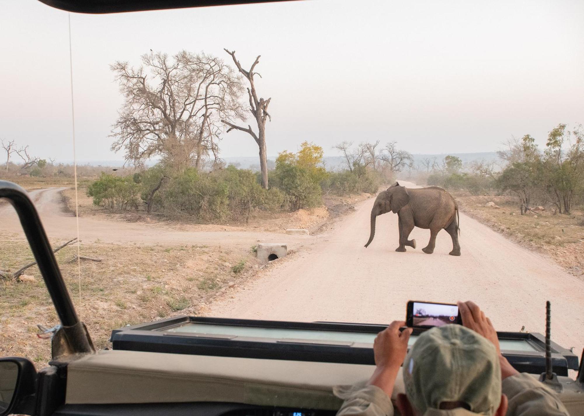 Mjejane Bush Camp By Dream Resorts Hectorspruit Kültér fotó