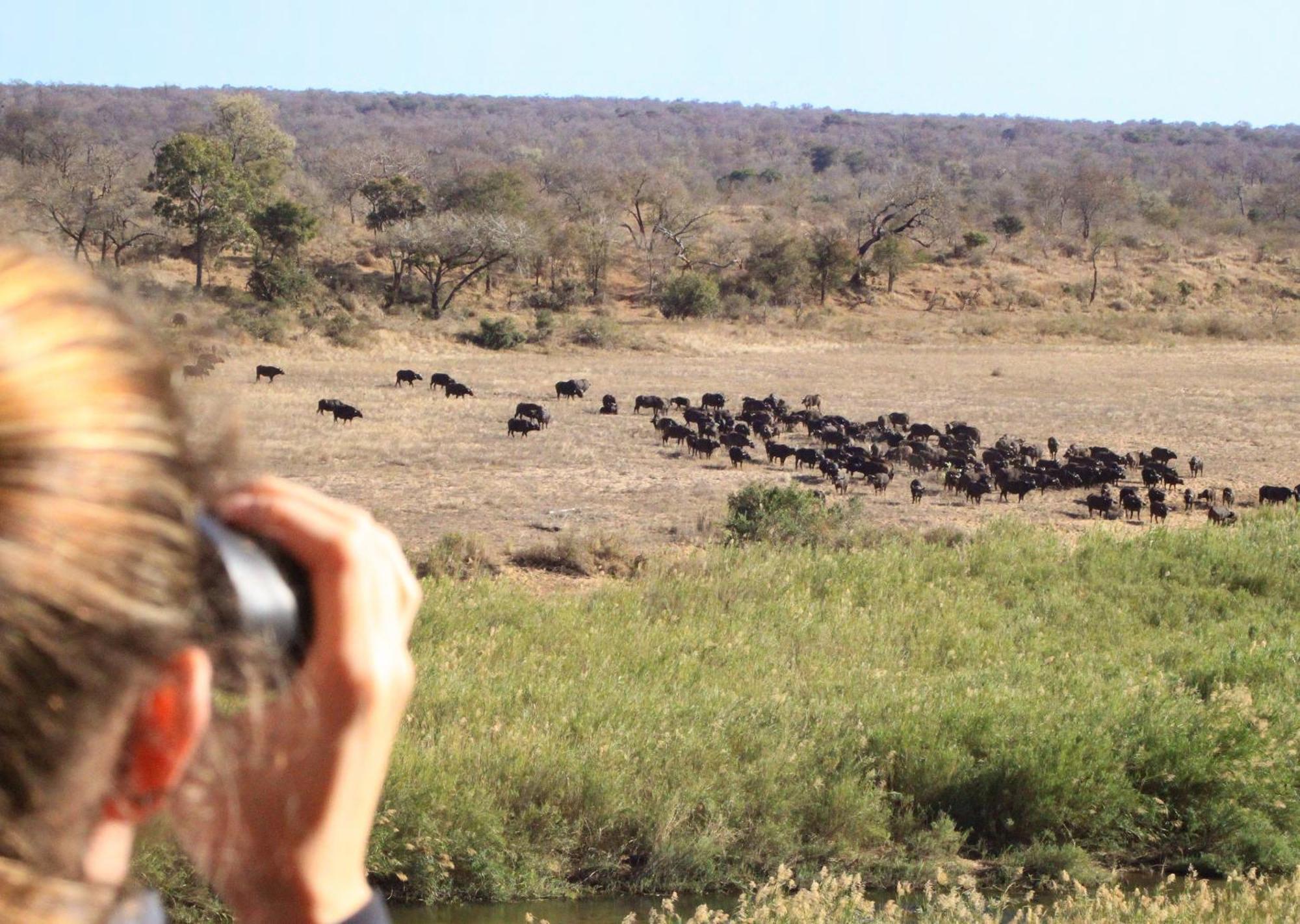Mjejane Bush Camp By Dream Resorts Hectorspruit Kültér fotó