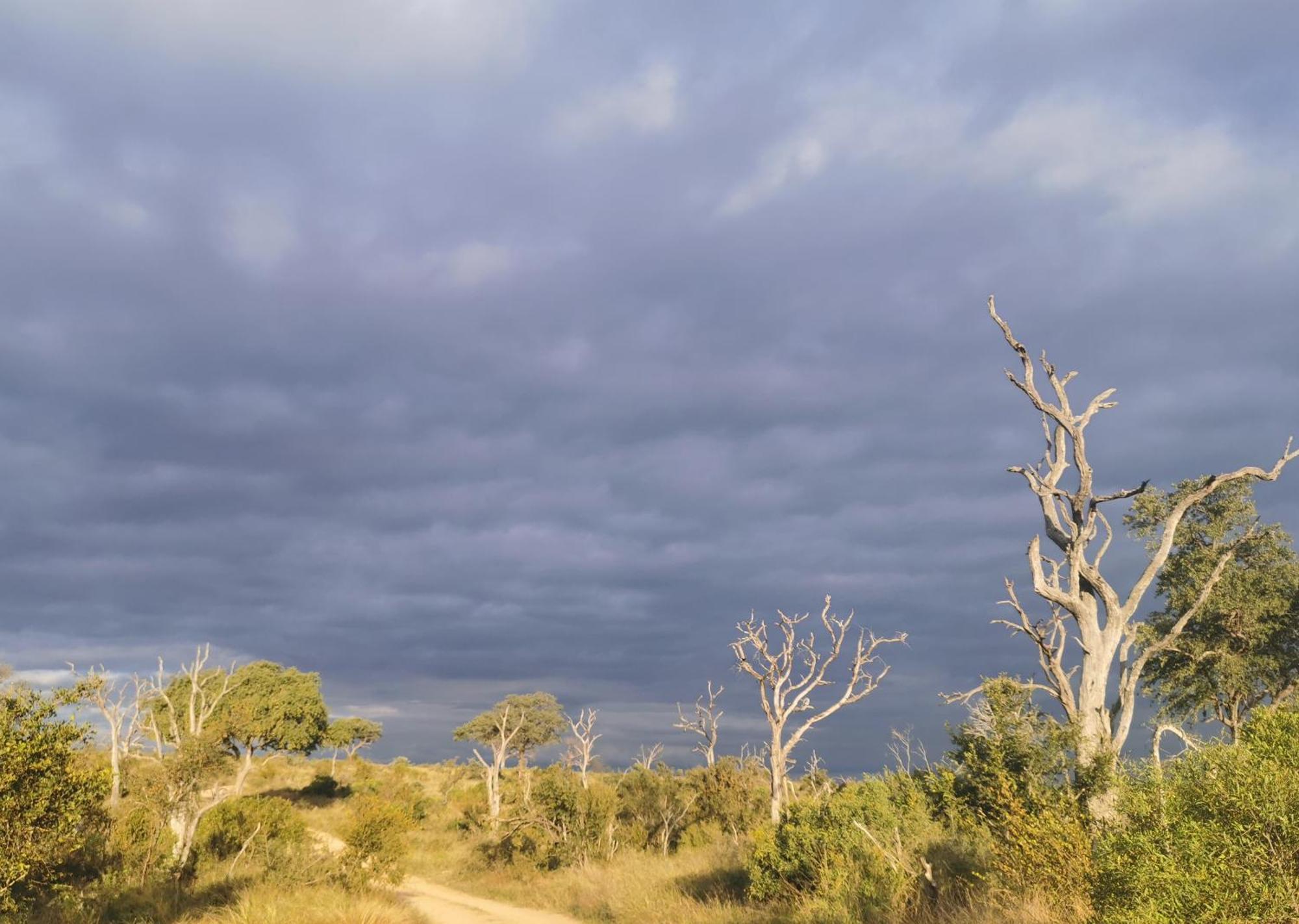 Mjejane Bush Camp By Dream Resorts Hectorspruit Kültér fotó