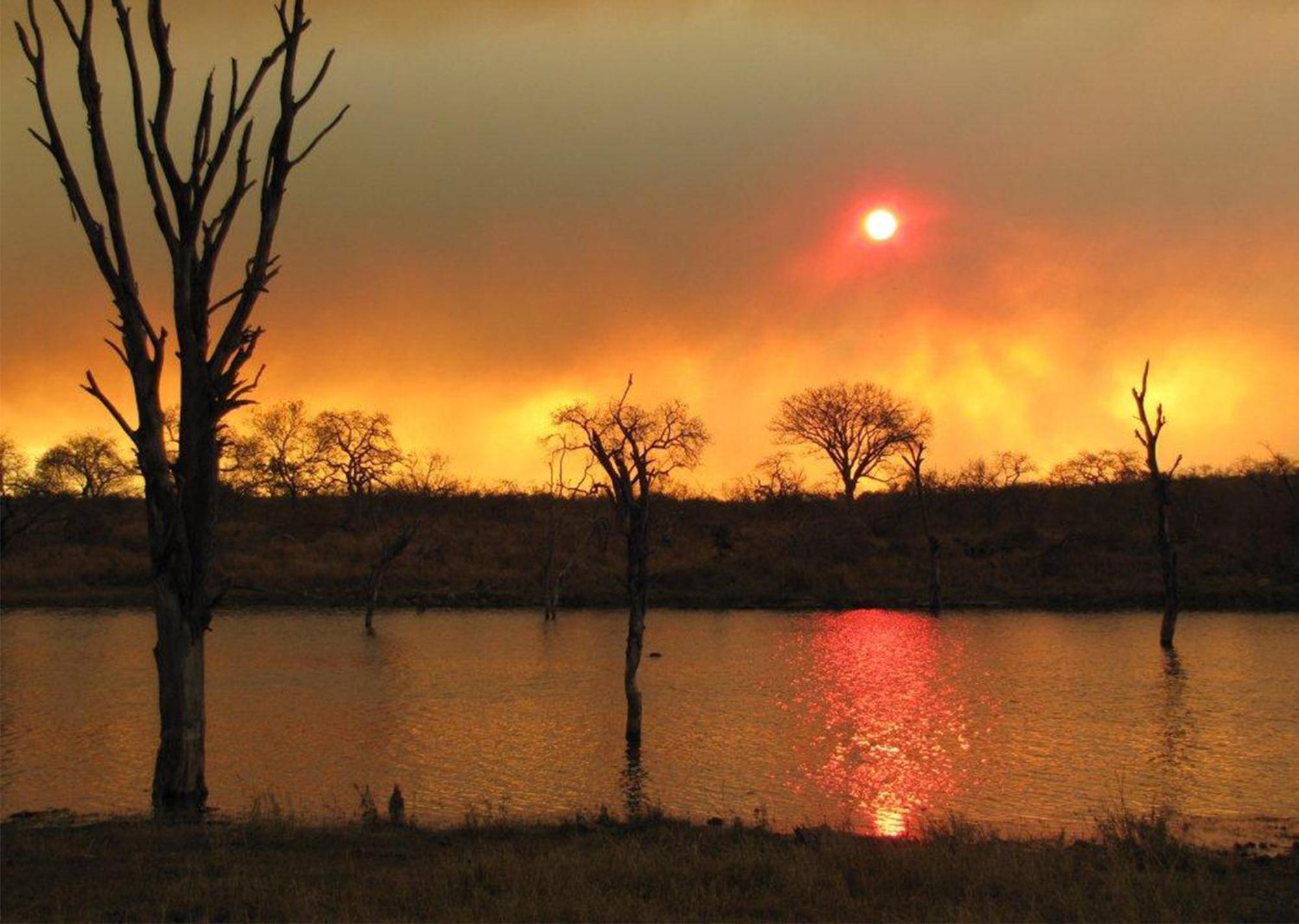 Mjejane Bush Camp By Dream Resorts Hectorspruit Kültér fotó