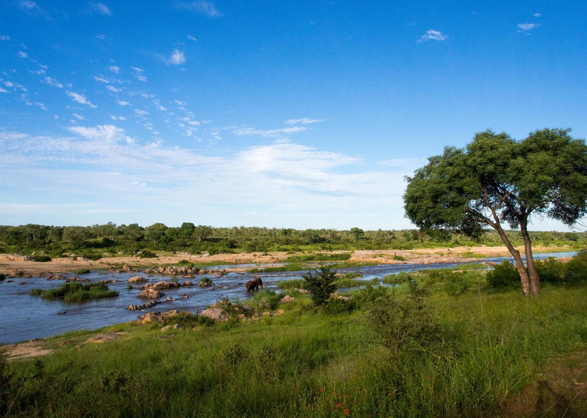 Mjejane Bush Camp By Dream Resorts Hectorspruit Kültér fotó